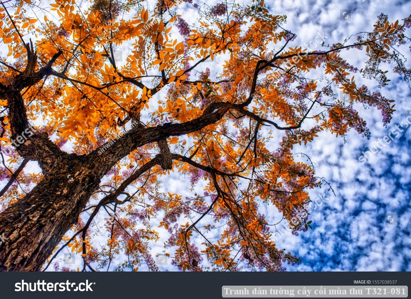 Tranh dán tường cây cối mùa thu T321-081